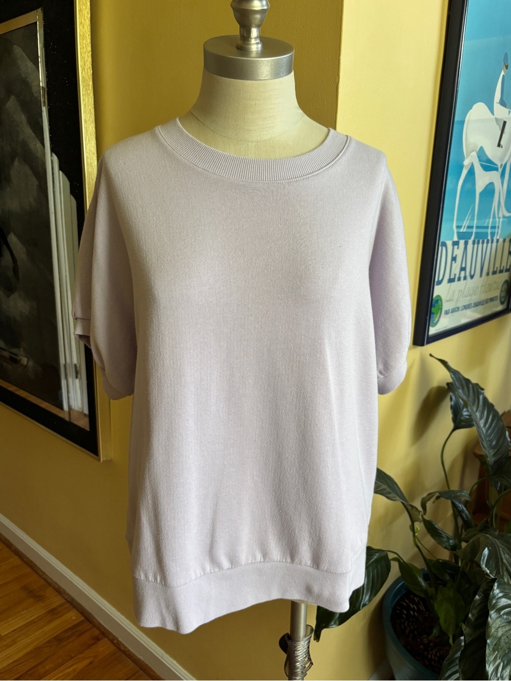 light purple short sleeve sweatshirt